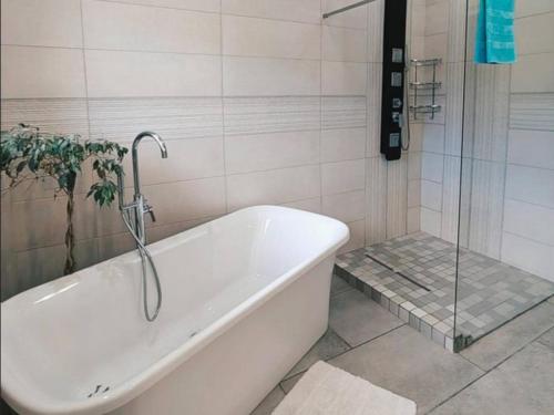 Μπάνιο, Aviators Paradise Guest House in Κόλπος Μοσέλ Μπάνιο, Aviators Paradise Guest House in Κόλπος Μοσέλ