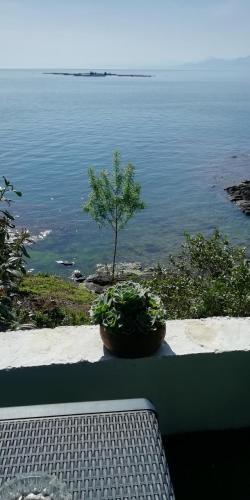 Sakin ev Cittaslow Sea Inn in Perşembe Sakin ev Cittaslow Sea Inn in Perşembe