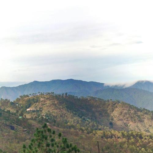 THE REAL PLACE in Thị trấn Almora THE REAL PLACE in Thị trấn Almora