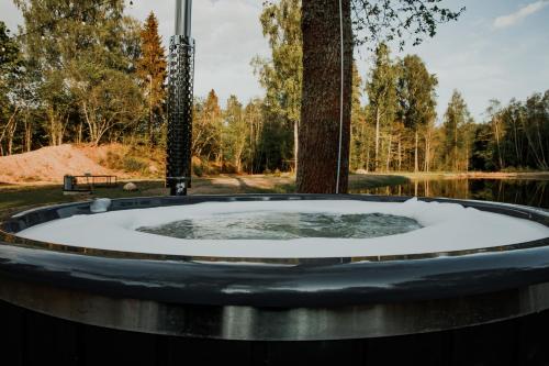 Pezsgőfürdő, Wolf Cottage in Birini Pezsgőfürdő, Wolf Cottage in Birini