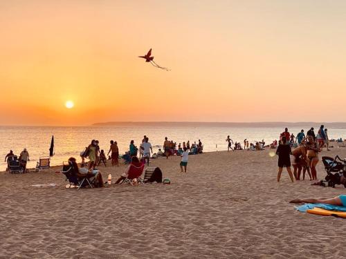 HigueronRentals Seashell in ริมน้ำ/ชายหาด HigueronRentals Seashell in ริมน้ำ/ชายหาด