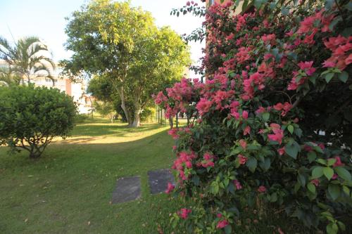 This photo about Jurere Ville shared on HyHotel.com