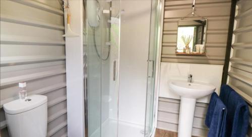 Banyo, Shepherds Hut by Stepney Stays in Riggs Head Banyo, Shepherds Hut by Stepney Stays in Riggs Head