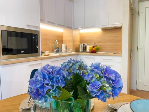 Kitchen, Aqua Apartman in Zalakaros Kitchen, Aqua Apartman in Zalakaros