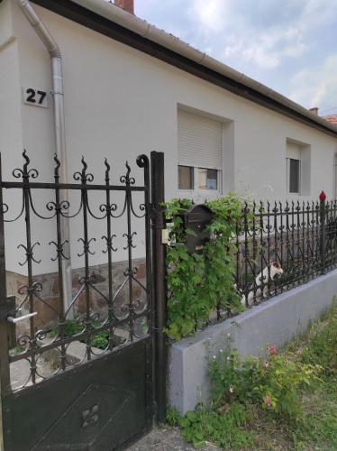 Exterior view, Szomolyai Vadvirag vendeghaz in Szomolya Exterior view, Szomolyai Vadvirag vendeghaz in Szomolya