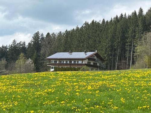 Ferienhaus am Wald in Irsee Ferienhaus am Wald in Irsee