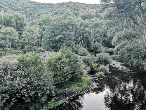 周邊環境, La nueva Escuela in 奧曼魯爾拉 周邊環境, La nueva Escuela in 奧曼魯爾拉