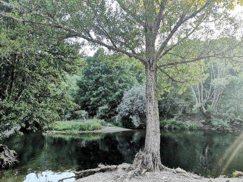 附近景點, La nueva Escuela in 奧曼魯爾拉 附近景點, La nueva Escuela in 奧曼魯爾拉