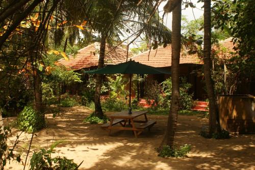 Arugam Bay Ocean Beach Hotel