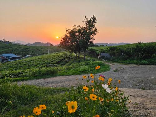 House of Rustic Charm Moc Chau in Phieng Luong House of Rustic Charm Moc Chau in Phieng Luong