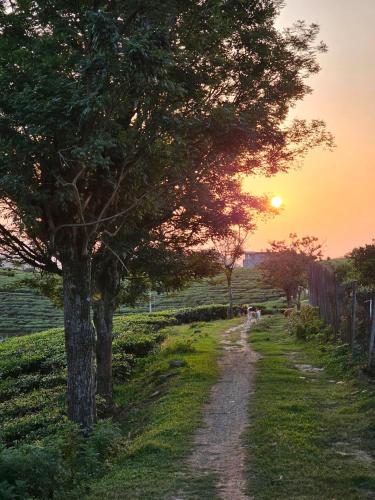 House of Rustic Charm Moc Chau in Phieng Luong House of Rustic Charm Moc Chau in Phieng Luong