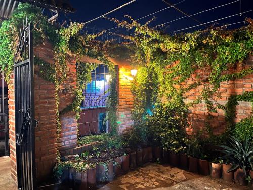 Entre tejas in Ataco Entre tejas in Ataco