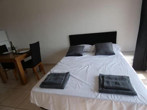 Estudio con vistas, Roses