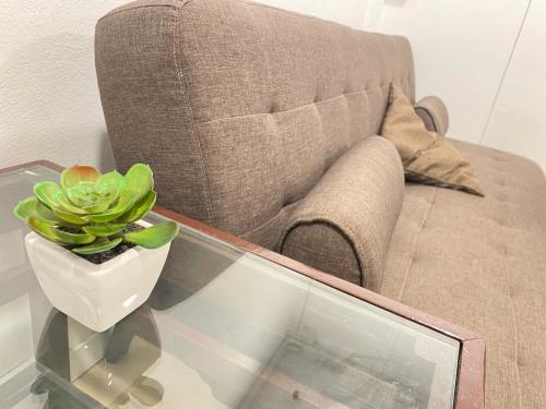 スティーブ ブティック ホステル10