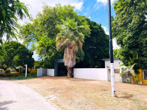 Ocean Blue Oasis Curaçao (Ocean Blue Oasis Curacao) in Willemstad Ocean Blue Oasis Curaçao (Ocean Blue Oasis Curacao) in Willemstad