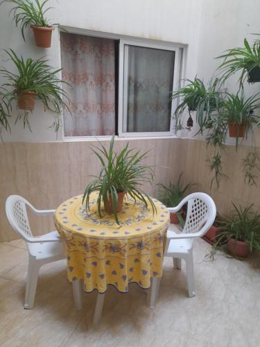 Ajdir in Ajdir Ajdir in Ajdir