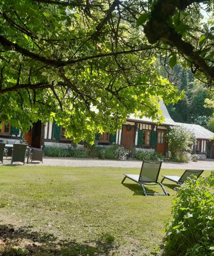 les orchidees sauvages in Touffreville-la-Corbeline les orchidees sauvages in Touffreville-la-Corbeline