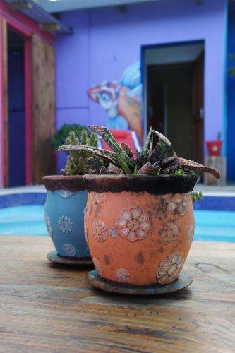Kolam renang, Cape Agulhas BACKPACKERS in Struisbaai Kolam renang, Cape Agulhas BACKPACKERS in Struisbaai