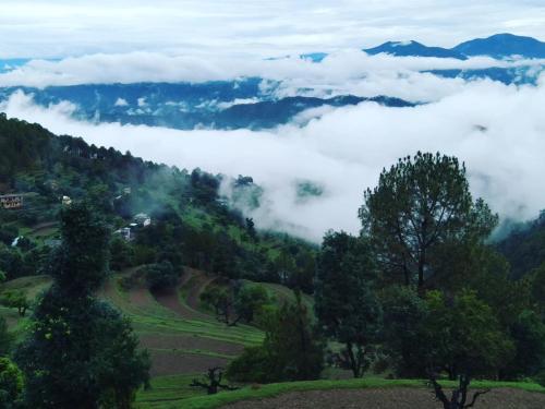 Nas proximidades, Himalaya View in Ranikhet Nas proximidades, Himalaya View in Ranikhet