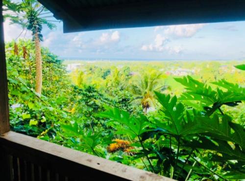 ทัศนียภาพ, Apaula Heights Lounge in โมโตโอตัว ทัศนียภาพ, Apaula Heights Lounge in โมโตโอตัว