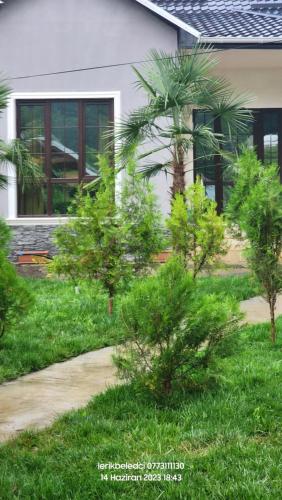 Lerik ev in Lankaran Lerik ev in Lankaran