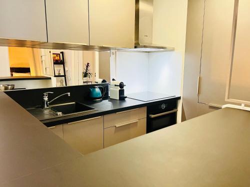 Appartement de Standing Aux Portes de Paris in Nogent-sur-Marne Appartement de Standing Aux Portes de Paris in Nogent-sur-Marne