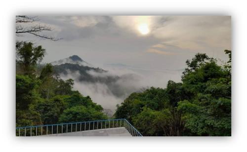 View, ศูนย์ฝึกอบรมสวนสัตว์เปิดเขาเขียว JJJ in Bang Phra View, ศูนย์ฝึกอบรมสวนสัตว์เปิดเขาเขียว JJJ in Bang Phra