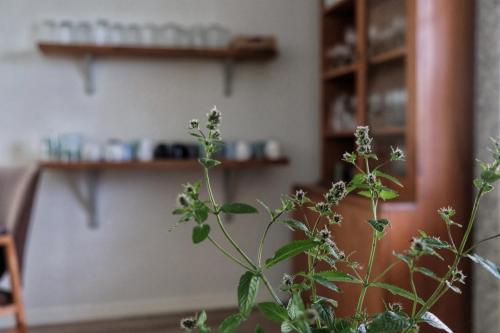 Stocklycke Vandrarhem in Йонкопінг Stocklycke Vandrarhem in Йонкопінг