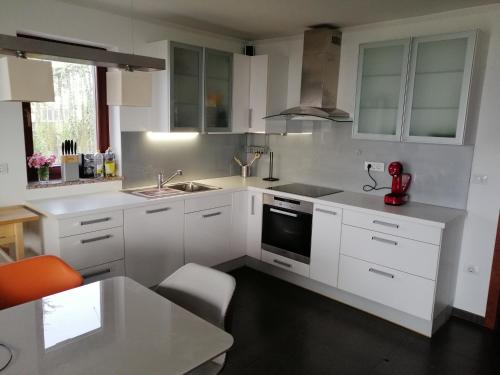 Kitchen, Hisa Haasberg in Rakek Kitchen, Hisa Haasberg in Rakek