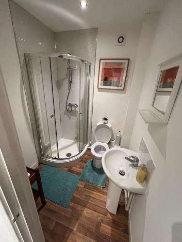 A spacious flat near Roath Park A spacious flat near Roath Park