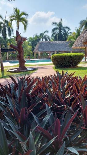 Hotel MarBrissa in Puerto Barrios Hotel MarBrissa in Puerto Barrios