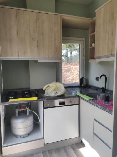 WOLL-ZEYTIN in Bodrum WOLL-ZEYTIN in Bodrum