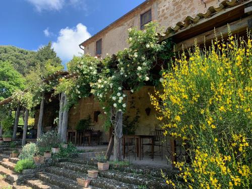 Exterior view, Agriturismo locanda settimo cielo in Lubriano Exterior view, Agriturismo locanda settimo cielo in Lubriano