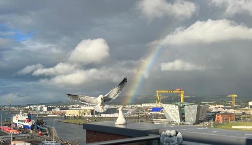 James Clow Bed & Breakfast in Sailortown James Clow Bed & Breakfast in Sailortown