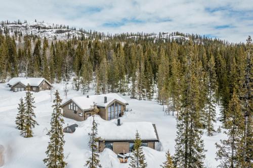 المنظر الخارجي, Private Room in Beautiful Mountain Home w/ Sauna in بيتوستولين المنظر الخارجي, Private Room in Beautiful Mountain Home w/ Sauna in بيتوستولين