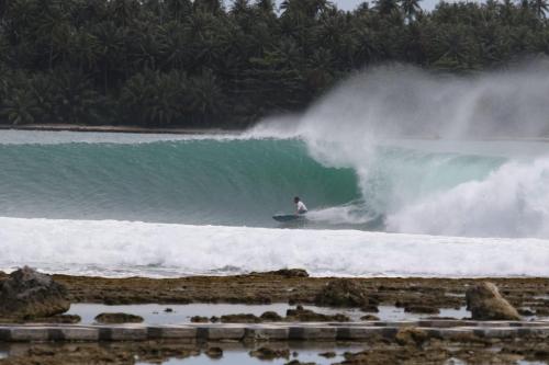 Nias Shady Palm surfcamp in Botohilitano Nias Shady Palm surfcamp in Botohilitano