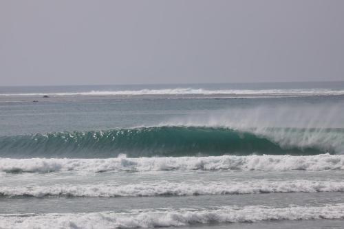 Nias Shady Palm surfcamp in Botohilitano Nias Shady Palm surfcamp in Botohilitano