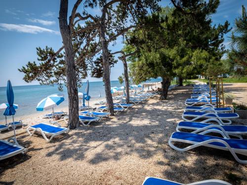 Omgeving, Hotel Villa Rosetta in Zambratija Omgeving, Hotel Villa Rosetta in Zambratija