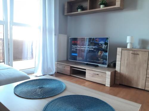 Sala de estar / sala de TV, Apartament Borkowo in Borkowo Lostowickie Sala de estar / sala de TV, Apartament Borkowo in Borkowo Lostowickie