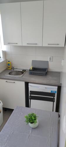 Cinema House Single & Double Rooms & Studio Apartments in Pula Cinema House Single & Double Rooms & Studio Apartments in Pula