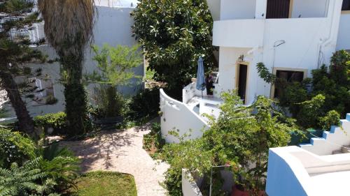 Garden, Kiveli in Vrachasi Garden, Kiveli in Vrachasi