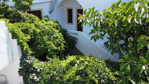 Garden, Kiveli in Vrachasi Garden, Kiveli in Vrachasi