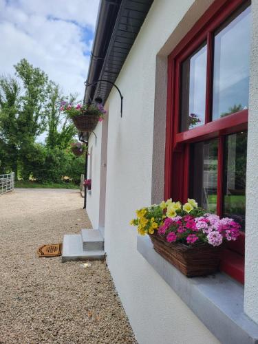 Kert, Teresa's Cottage in Clarinbridge Kert, Teresa's Cottage in Clarinbridge