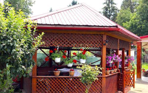 Accommodation Casa Luca in Horezu Accommodation Casa Luca in Horezu