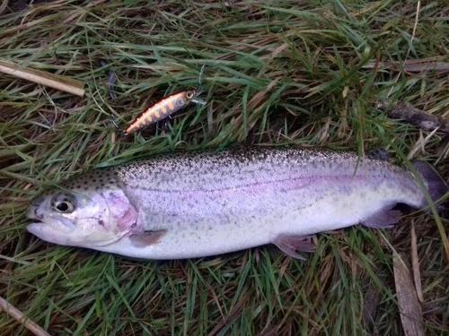 المرافق الترفيهية, Cocon aux portes des Cévennes avec piscine (Cocon aux portes des Cevennes avec piscine) in Moules Et Baucels المرافق الترفيهية, Cocon aux portes des Cévennes avec piscine (Cocon aux portes des Cevennes avec piscine) in Moules Et Baucels