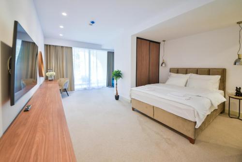 Hotel Riva in بودفا Hotel Riva in بودفا