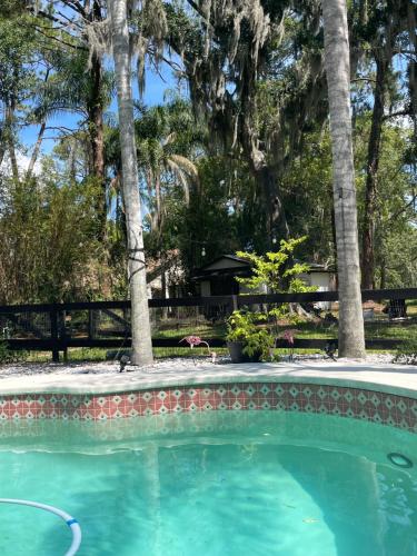 Swimming pool, Adorable one bedroom lakefront cottage in Citrus Park Swimming pool, Adorable one bedroom lakefront cottage in Citrus Park