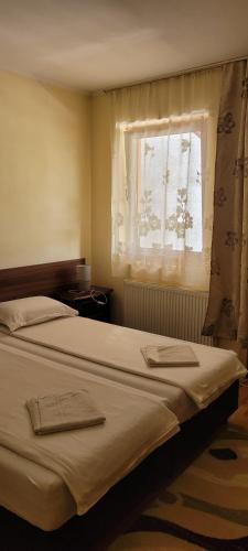 Vila Korona in Satu Mare Vila Korona in Satu Mare