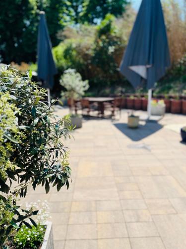 Balcony/terrace, Stuckhotel Fettehenne in Ratingen Balcony/terrace, Stuckhotel Fettehenne in Ratingen