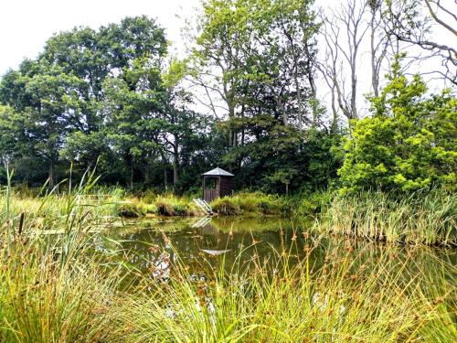 Snug & Secluded Lakeside Shepherds Hut 'Carp' in Uckfield Snug & Secluded Lakeside Shepherds Hut 'Carp' in Uckfield